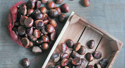 Ödemiş Kestanesinin Rekoltesi Yüksek Kalitesi Düşük