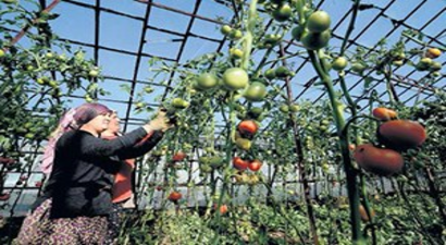 Rus Ambargosuna Sera Aşısı