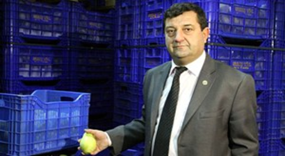 Rusya Krizi Nedeniyle Tonlarca Armut Depolarda Kaldı