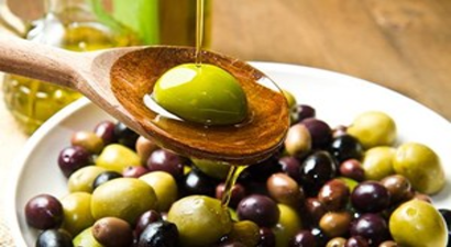 ``Sarı Ulak`` Zeytin Çeşidine Koruma