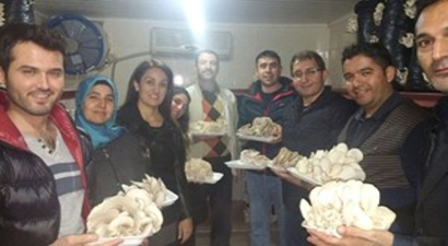 Tarsus Belediyesi`nden İstiridye Mantarı Yetiştiriciliği Kursu
