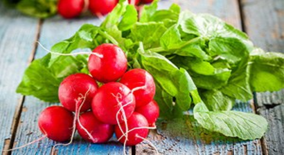 Turp Çiftçisi Kuraklıktan Endişeli