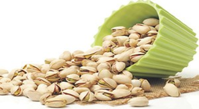 Antep Fıstığı Altın Çağını Yaşıyor