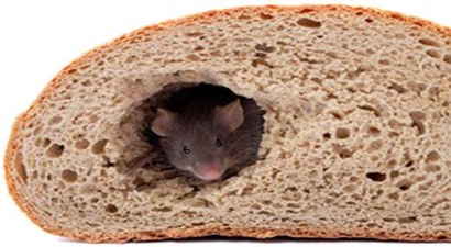 Beypazarı`nda Kemingenlerle Mücadele Toplantısı