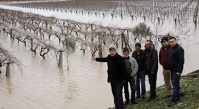 Çay Taşkını Bağları Vurdu