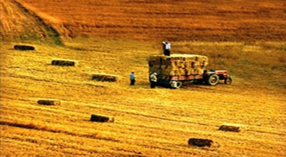 Yeniçağa`da Çiftçi Bilgilendirme Toplantısı