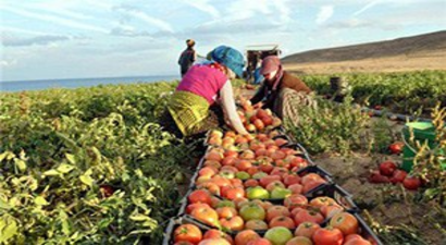 Çin Rusya`ya Tarımsal Ürün İhracatını Artırabileceğini Açıkladı