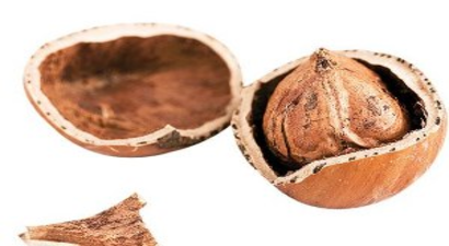 Fındığın Önlenemez Yükselişi