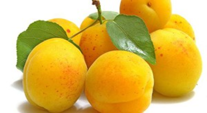 Malatya Kayısısında Sigorta Zamanı