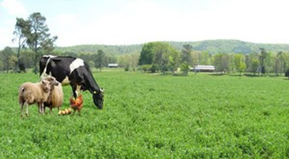 Pazaryeri`nde Tarım Komisyonu Toplantısı