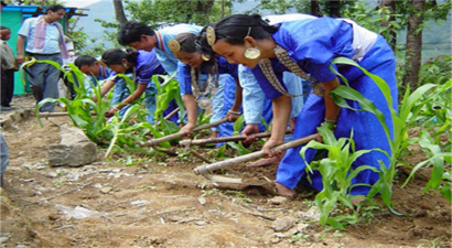 Hindistan`dan Organik Tarım Girişimi: Dünyanın İlk Organik Tarım Bölgesi