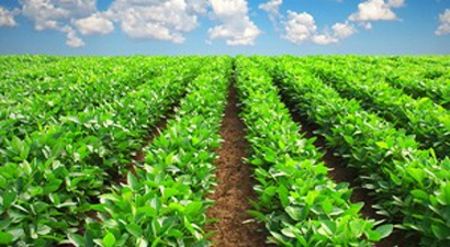 Sulakyurt`ta Tarım Uygulamaları İstişare Toplantısı