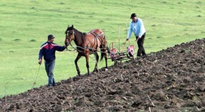 Biga`da, Tarımsal Nüfus Gençleşiyor Projesi
