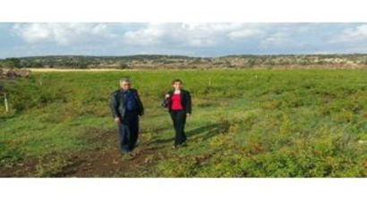 Tarla Faresiyle Mücadelede Önemli Uyarılar