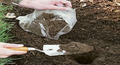 Yüksek Verim İçin Toprak Analizi Yaptırın