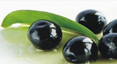 `Manisa, Türkiye`nin Zeytininin Yüzde 14`ünü Üretir Hale Geldi`