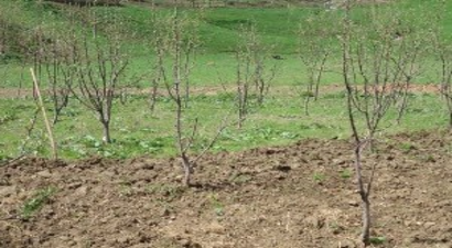 Güroymak`ta Alternatif Tarım Ürünleri Toplantısı Yapıldı