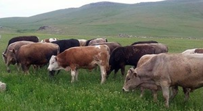 Gübre Ye Yem KDV Oranı 2016 Çiftçiler Memnun mu?