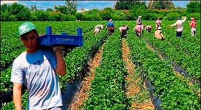 Sıcak Hava Tarımsal Üretime Zarar Verecek