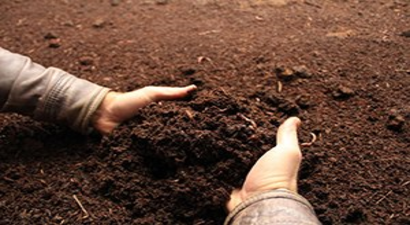 Kayseri Şeker Fabrikası Solucan Gübresi Üretimine Başladı