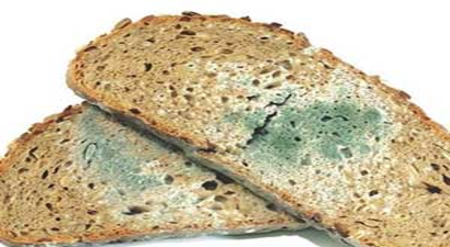 Ekmek Küfü Meğer Pil Ömrünü Artırıyormuş!