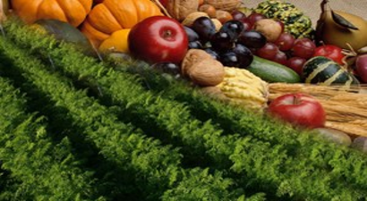 AB Bazı Ürünleri Tekrar Rusya`ya İhraç Etmek İstiyor