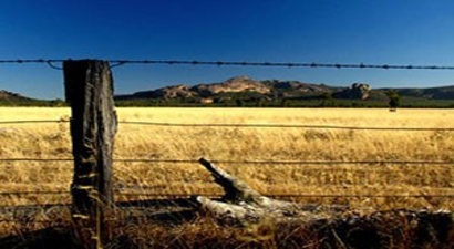 5 Milyon Hektarlık Tarım Arazisi Tapulaştırıldı