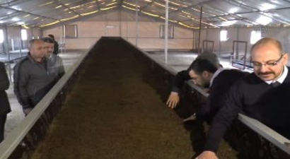 Solucan Gübresi Üretimi İçin Avukatlığı Bıraktı