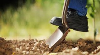 Bafra`da Toprak Analiz Laboratuvarı Açılıyor