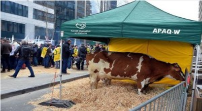 Belçikalı Çiftçilerden Protesto