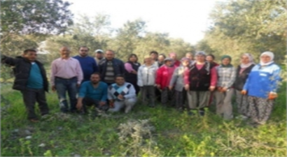 Dalaman`da Zeytin Budama Kursu Başladı