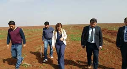 Elbeyli`de Sertifikalı Fıstık Üretilecek