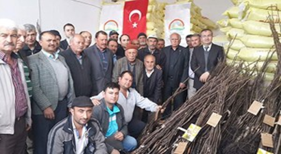 Emet`te Üreticilere Ceviz Fidanı Dağıtıldı
