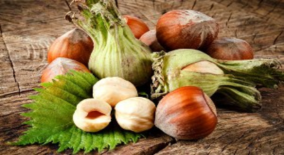 Fındık İçin Destek Başvurusu 1 Nisan`da Sona Eriyor