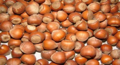 Fındık Fiyatı Yükselişe Geçti