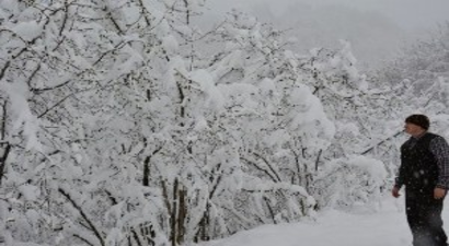 Mart Ayında Yağan Kar Fındığı Vurdu