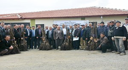 Hisarcıkta 36 Çiftçiye Ceviz Fidanı Desteği