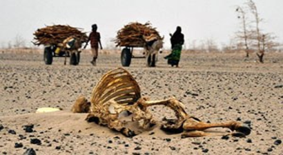 İklim Değişikliği Yüz Binlerce Kişiyi Öldürecek