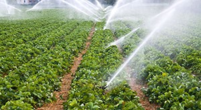 Kayseri, Sulu Tarımı %35`e Çıkaracak 3 Projeyi Bekliyor