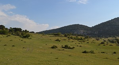 Kırkağaç`ta 15 Bin 500 Dekarlık Alana Toplulaştırma