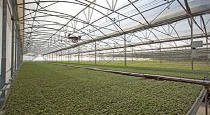 Kırsal Hizmetlerden Tarımsal Destek