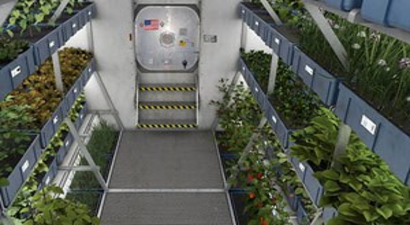 Mars`ta Domates, Roka Ve Turp Bile Olacak