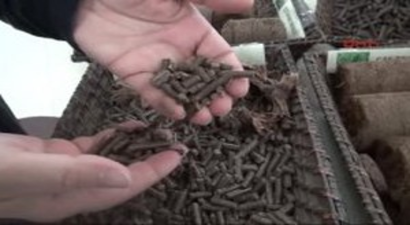 Tarımsal Atıklardan Biyoyakıt