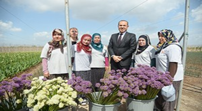 Şimdi Hasat Zamanı