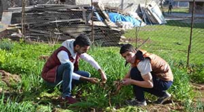 Soğan, Ailelerin Geçim Kaynağı Oldu