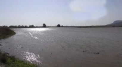 Söke`de Çiftçiler, Çoraklaşmaya Karşı Toprağı Yıkıyor