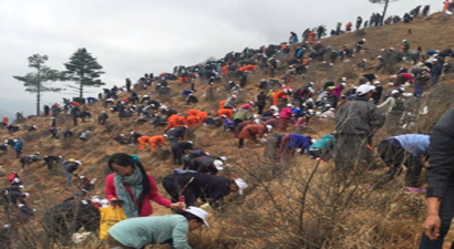 Butan`da Prens İçin 108 Bin Ağaç Dikildi