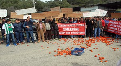 Üreticilerin Kırmızı Eylemi