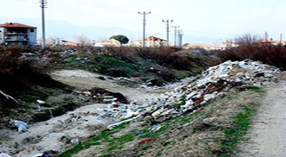 Üzüm Üreticilerini Tedirgin Eden Manzara