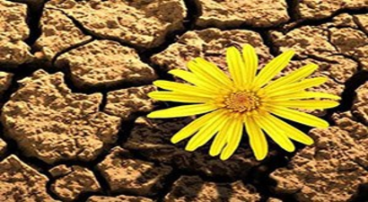 Araban`da Kuraklık Endişesi